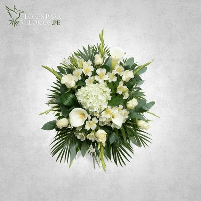 Lagrima funebre 01 - Lima