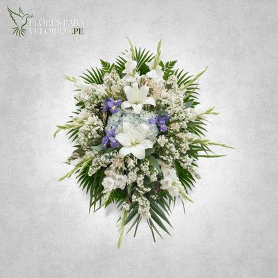 lagrima funebre 02 iris - flores para velorios Lagrima funebre 02 - Iris