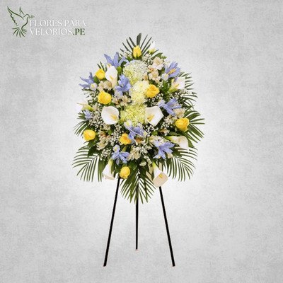 Lagrima pedestal 05 - Amairis