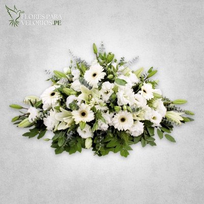 manto funebre flores blancas - flores para velorios Manto funebre 07 - Flores blancas