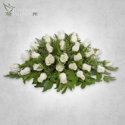 manto funebre rosas blancas - flores para velorios Manto funebre 01 - Rosas blancas